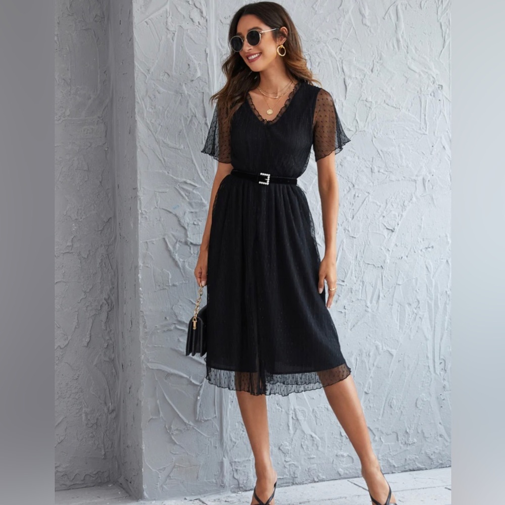 NWT Zara Dobby mesh overlay frill belted A line dress